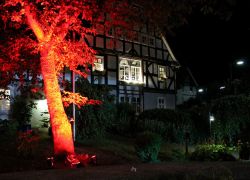 8nacht-diesdas-wa-66.jpg
