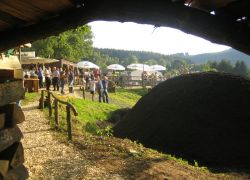 20meiler-09-am.jpg
